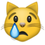 crying_cat_face