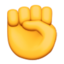 fist